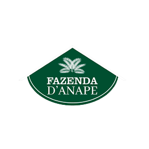 Hotel Fazenda D'anape